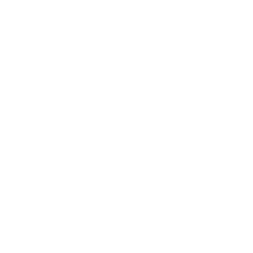 Right Image